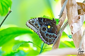 IMG_7812.jpg