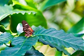 IMG_7860.jpg