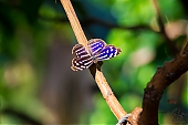 IMG_7875.jpg